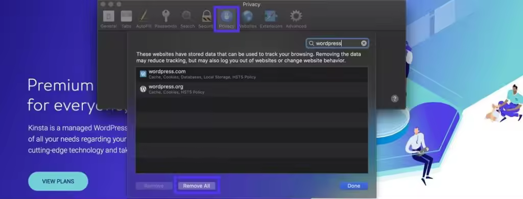 kinsta-remove-all-cookies-safari-1024x390.jpgo_