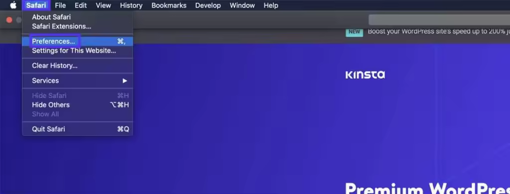 kinsta-safari-preferences-1024x390.jpgo_