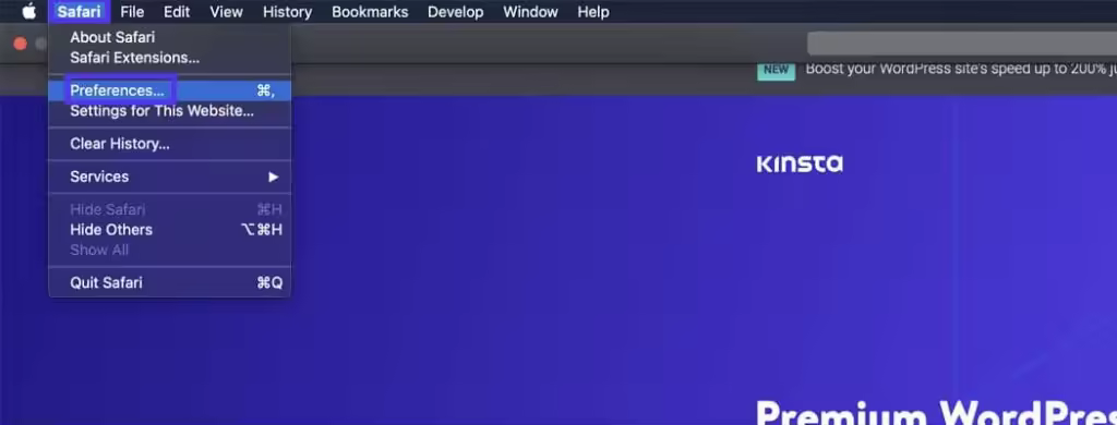 kinsta-safari-preferences-2-1024x390.jpgo_