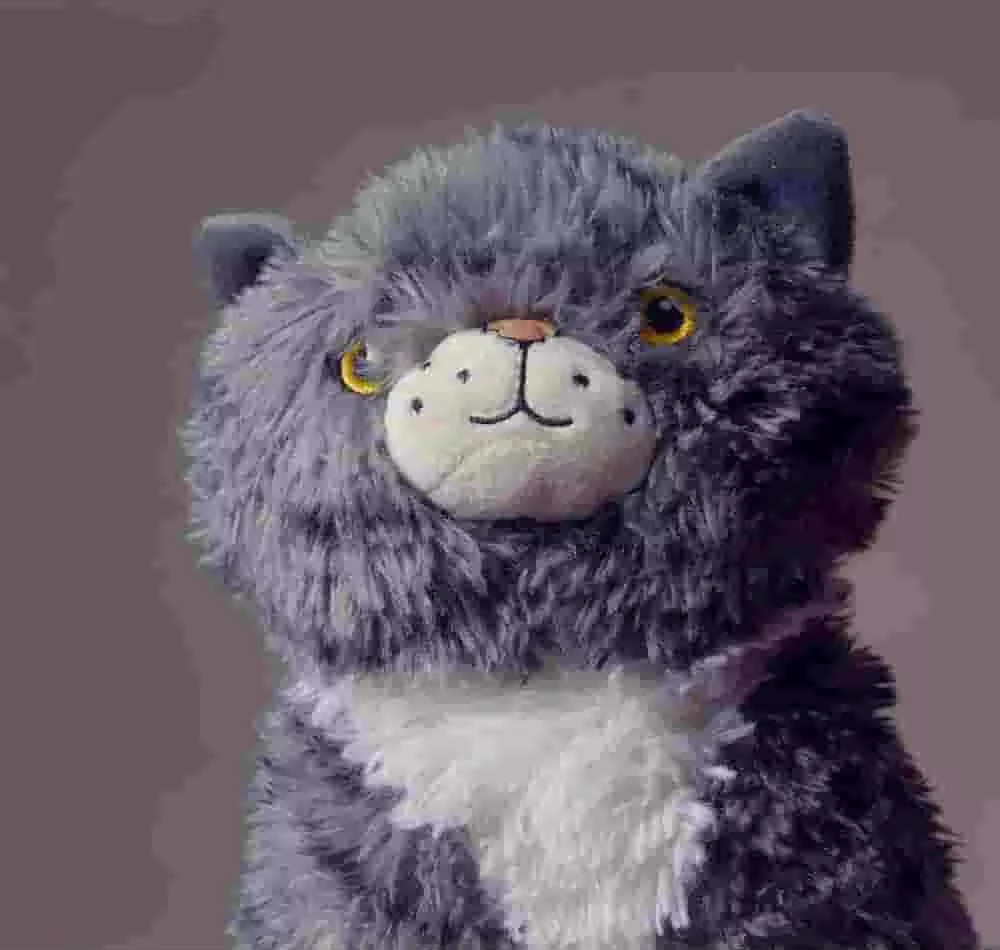 over-compressed-cat-min.jpgo_