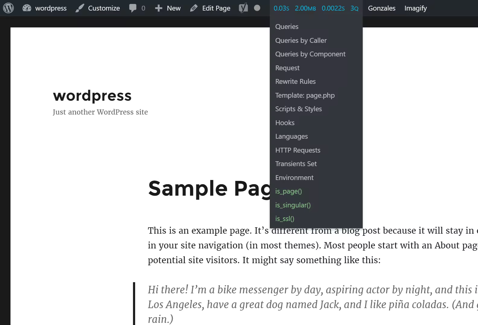 Query Monitor插件详解：精准调试WordPress性能瓶颈