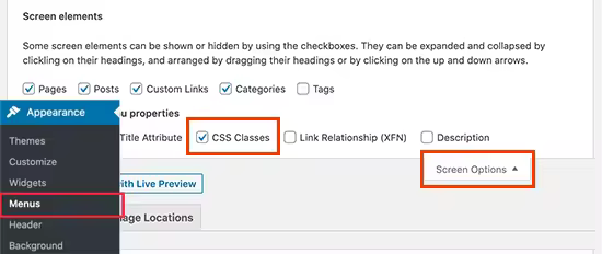 screenoptions-cssclasses.pngo_