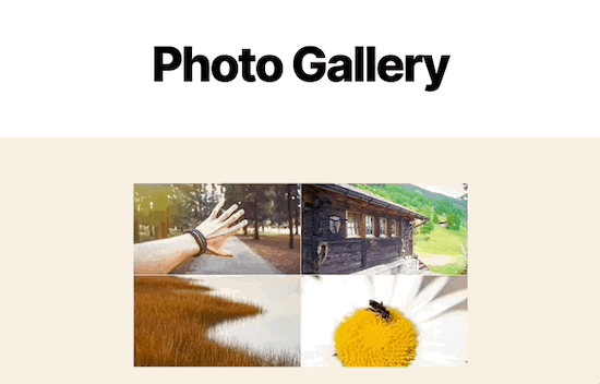 show-full-size-image-lightbox-1