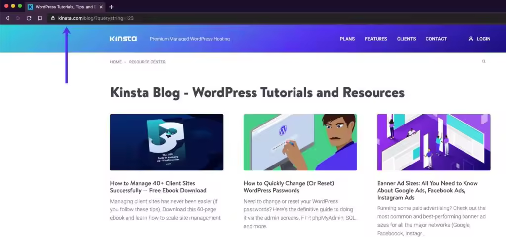 如何优化WordPress PHP Worker使用提升网站性能