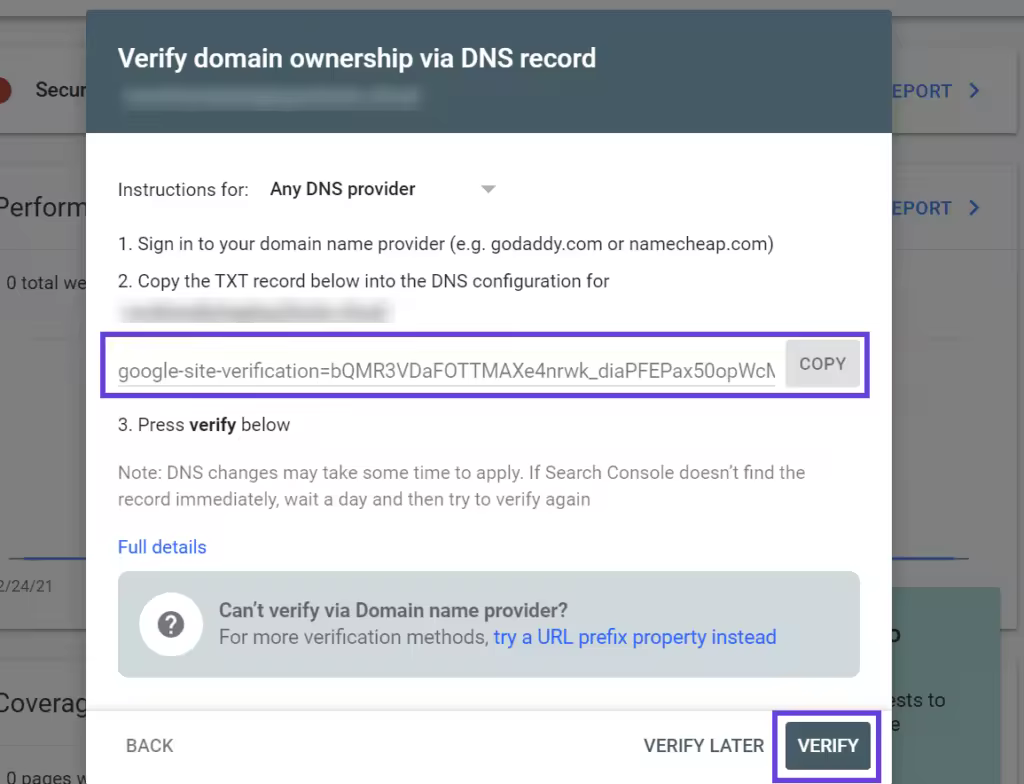 verify-dns-record-1024x784.pngo_