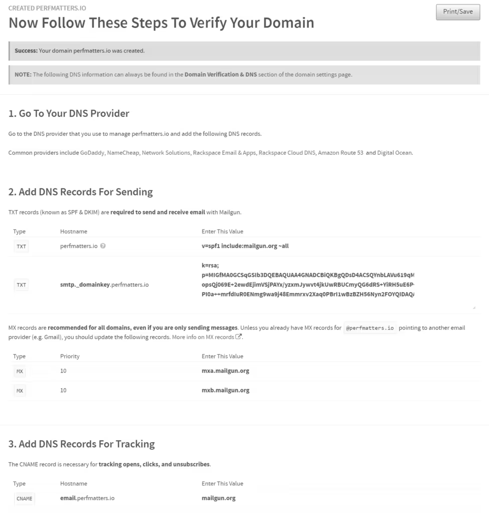 verify-domain-dns-records-1-976x1024.pngo_