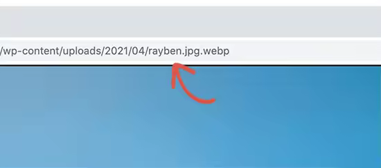 verifywebpimage.jpgo_