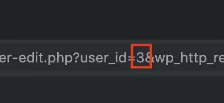 wordpress-user-id-in-url.jpgo_