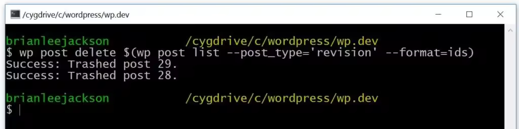 wp-cli-delete-wordpress-revisions-1-1-1024x256.jpgo_