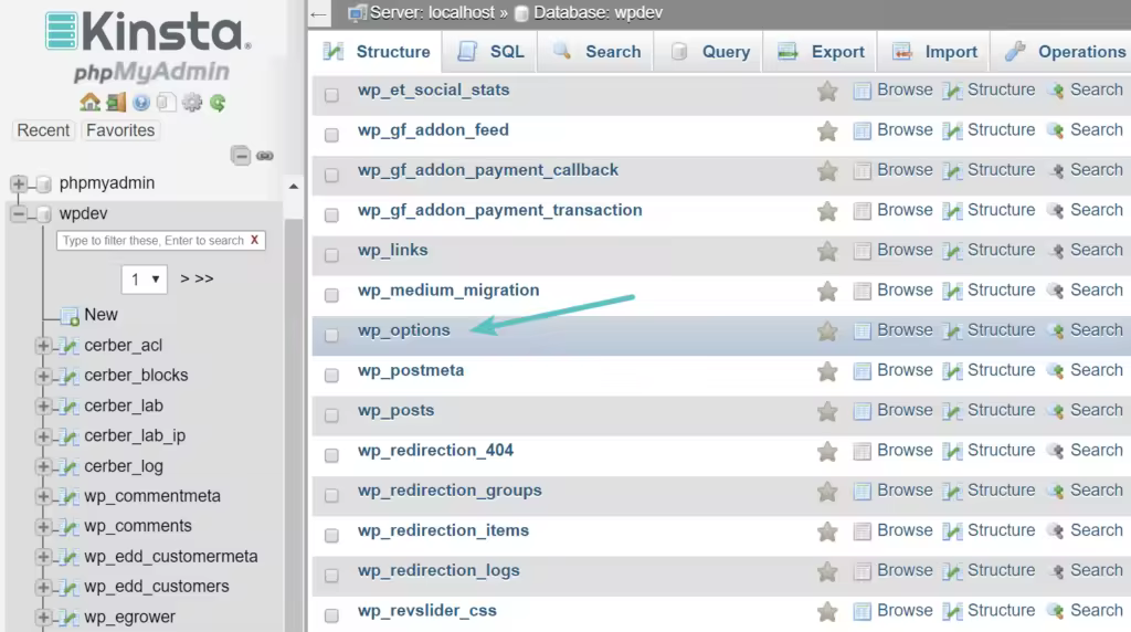 wp_options-table-autoloaded-data-1-1024x572.pngo_