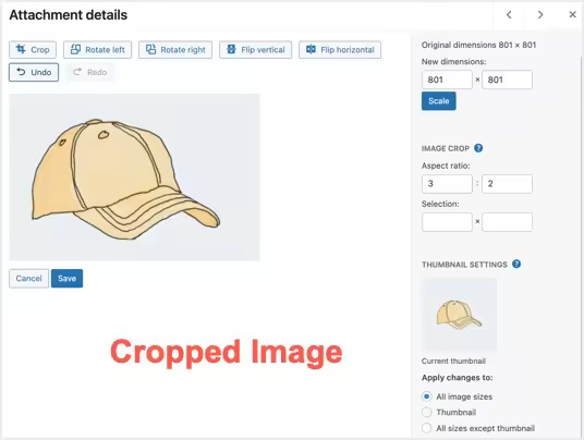 Cropped-Image-in-WordPress-Media-Library.jpgo_