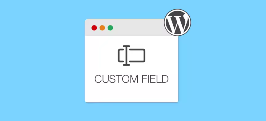 Custom-Fields-in-WordPress.pngo_