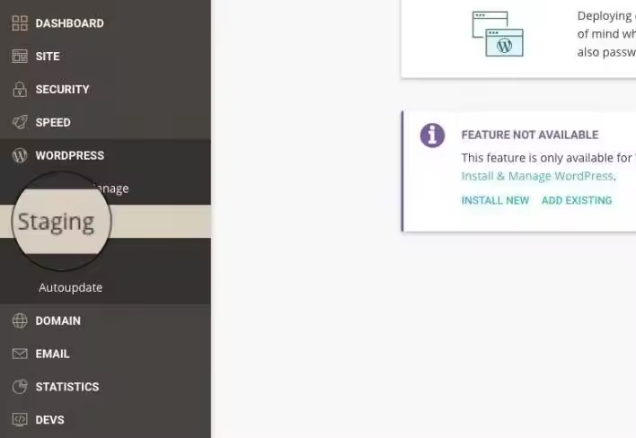 SiteGround-staging.jpgo_