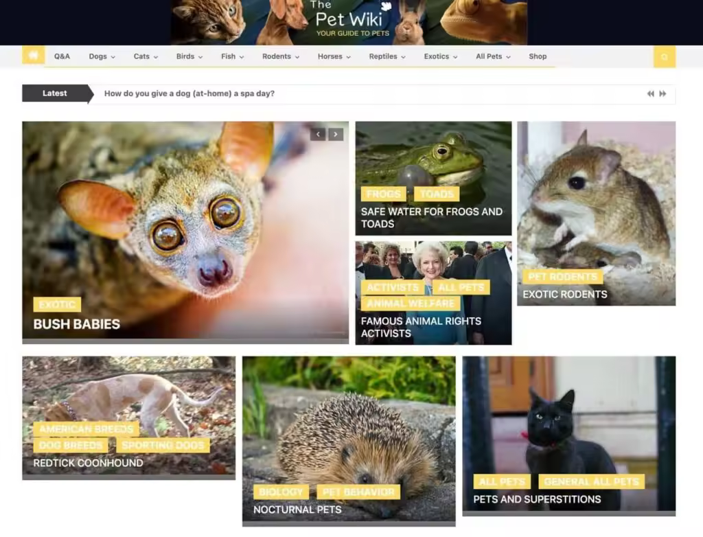 The-Pet-Wiki.jpego_