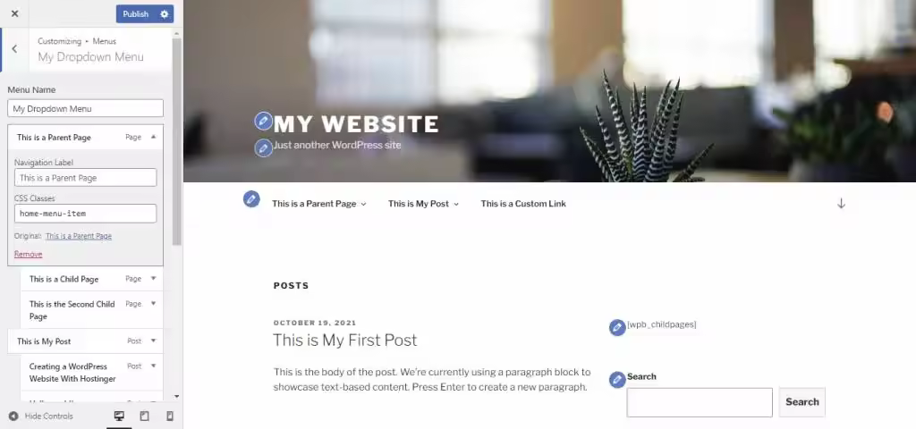 The-appearance-of-WordPress-customizer-which-user-can-enable-by-activating-the-Live-Preview-mode-1024x480.webp.jpgo_