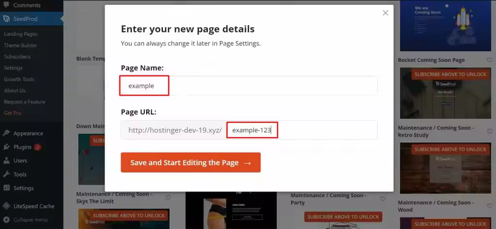 The-page-details-information-where-you-need-to-enter-your-page-name-and-its-URL-1-1024x474.webp.jpgo_