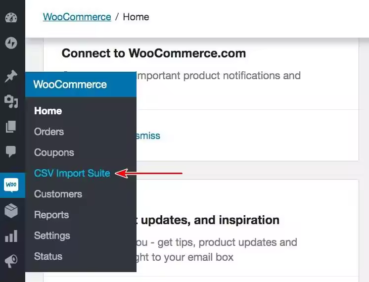 WooCommerce-CSV-Import-Suite.jpgo_