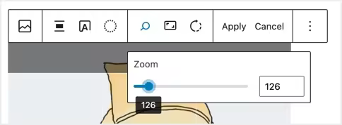 Zoom-In-Image-in-WordPress.jpgo_