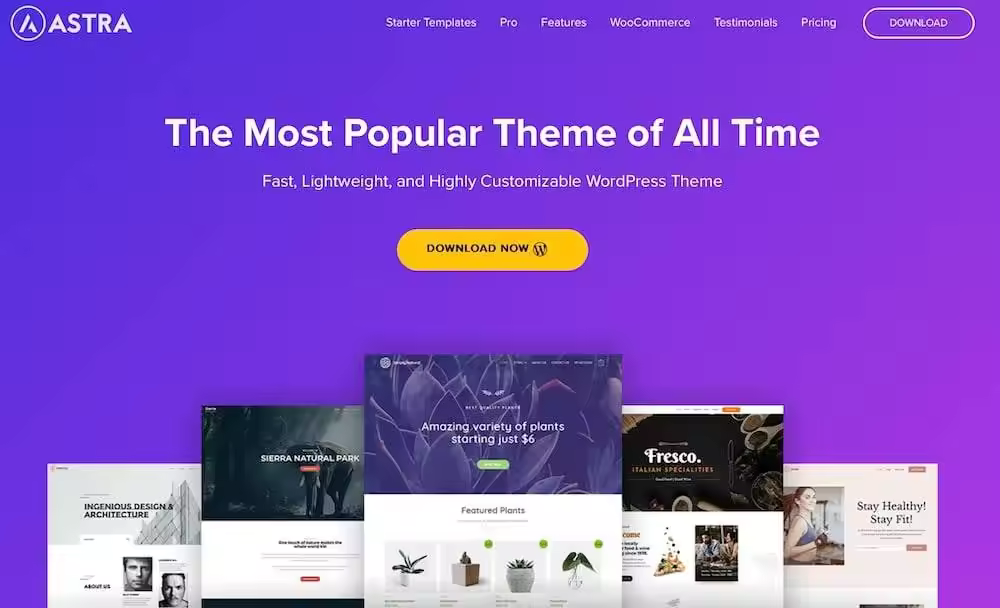 astra-theme-website.jpgo_