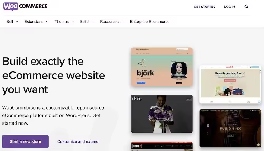 build-a-woocommerce-website-with-elementor-and-ast.jpego_