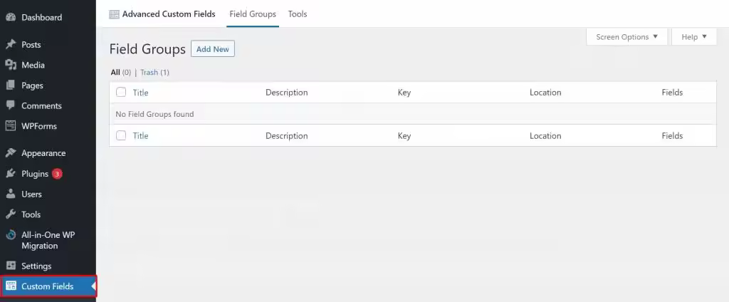 custom-fields-tab-1024x424.webp.jpgo_