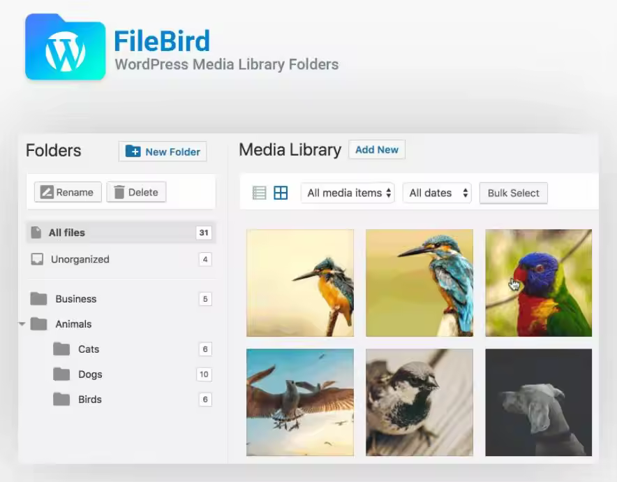 filebird-plugin-preview-page-on-code-canyon-website.webp.jpgo_