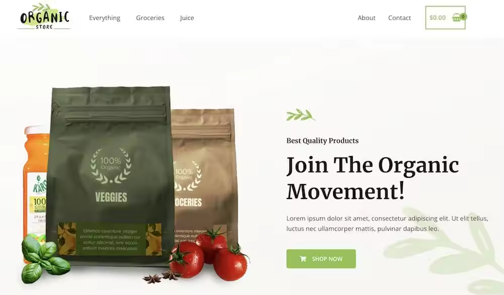 how-to-build-a-woocommerce-website-with-elementor.jpego_