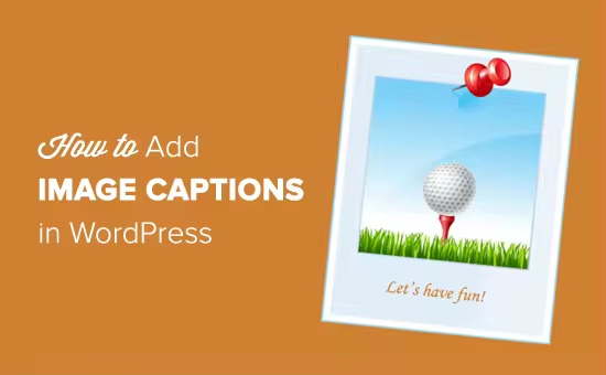 howtoaddimagecaptionsinwordpress.pngo_