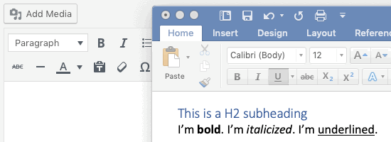 plain-text-wp