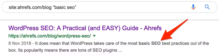 seo-basics-google-search.pngo_