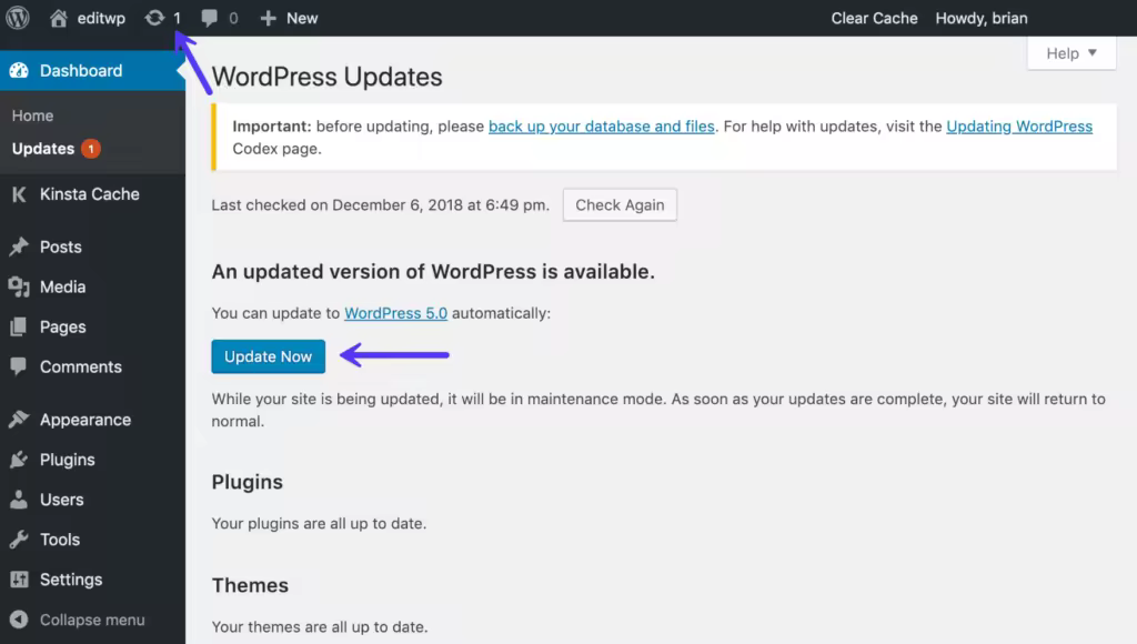 update-wordpress-core-1-1-1024x580.pngo_