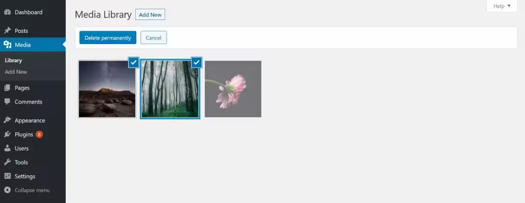 wordpress-media-library-bulk-select-1024x396.webp.jpgo_