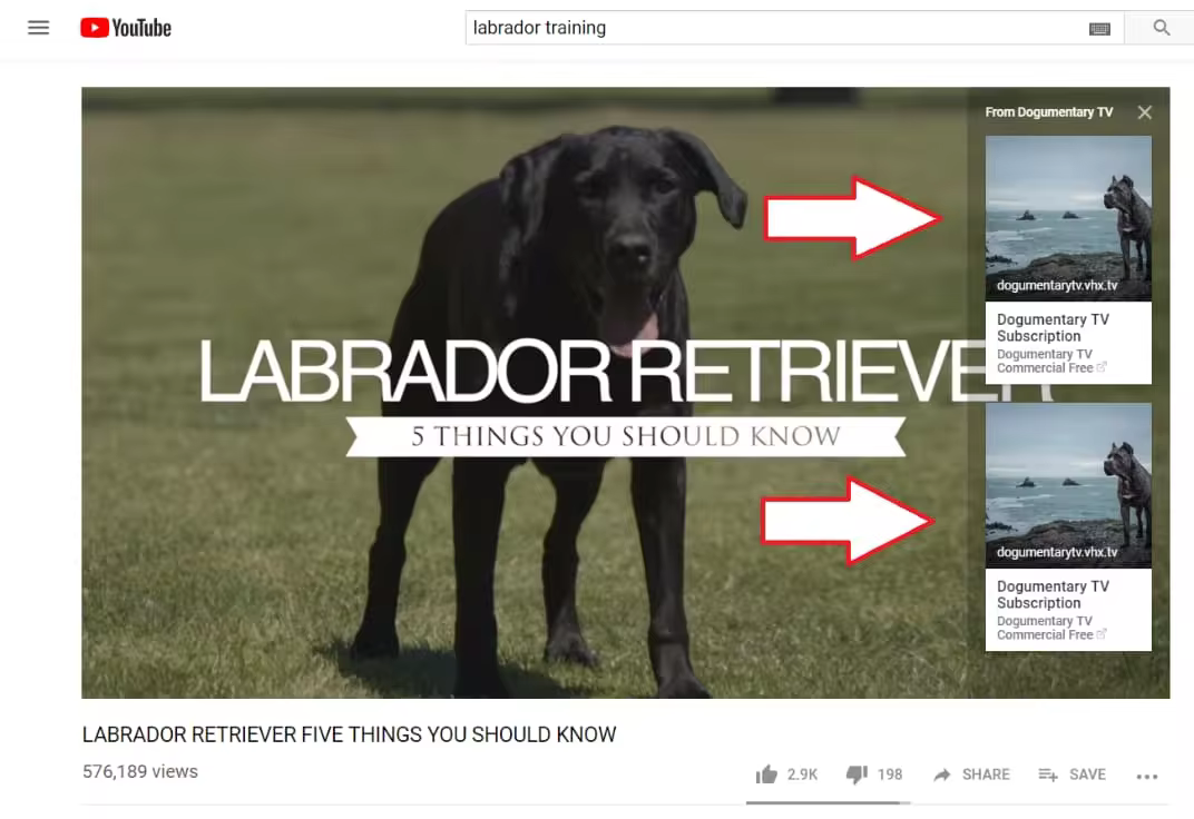 掌握YouTube视频SEO优化技巧提升外贸品牌曝光率