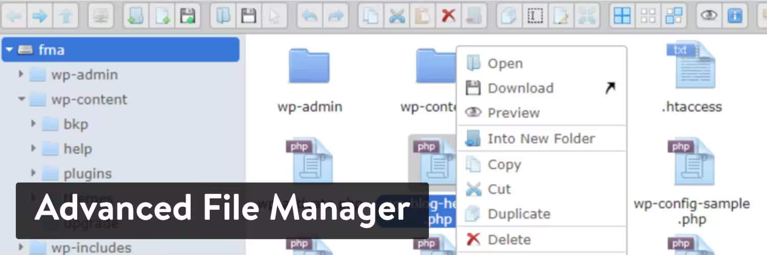 Advanced-File-Manager-plugin-1.jpgo_