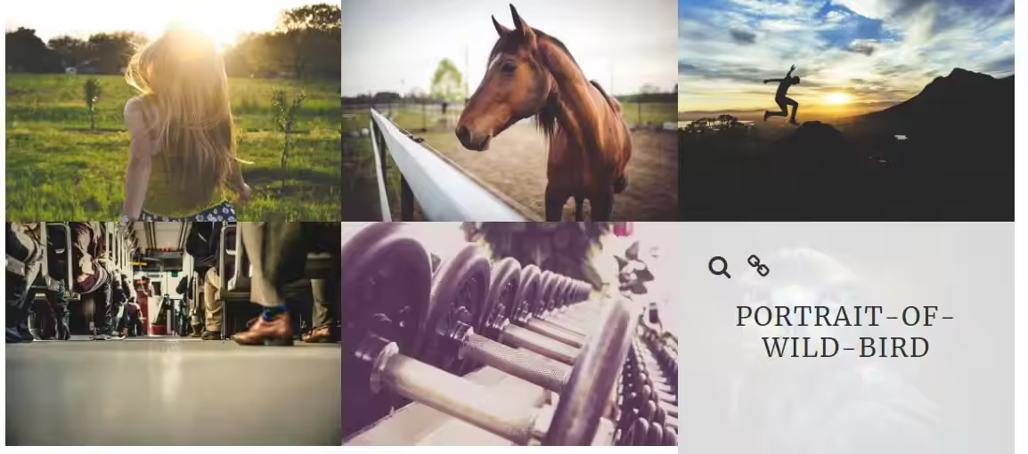 Everest_Gallery_Lite_grid_layout.jpgo_