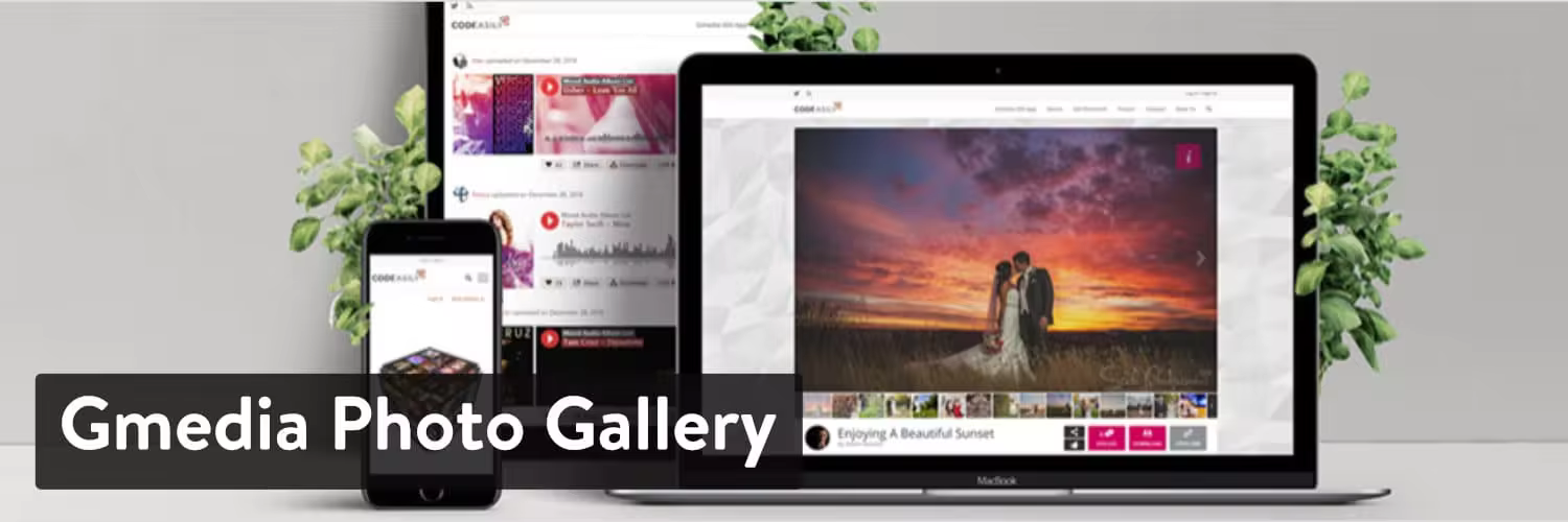 Gmedia-Photo-Gallery-plugin.jpgo_