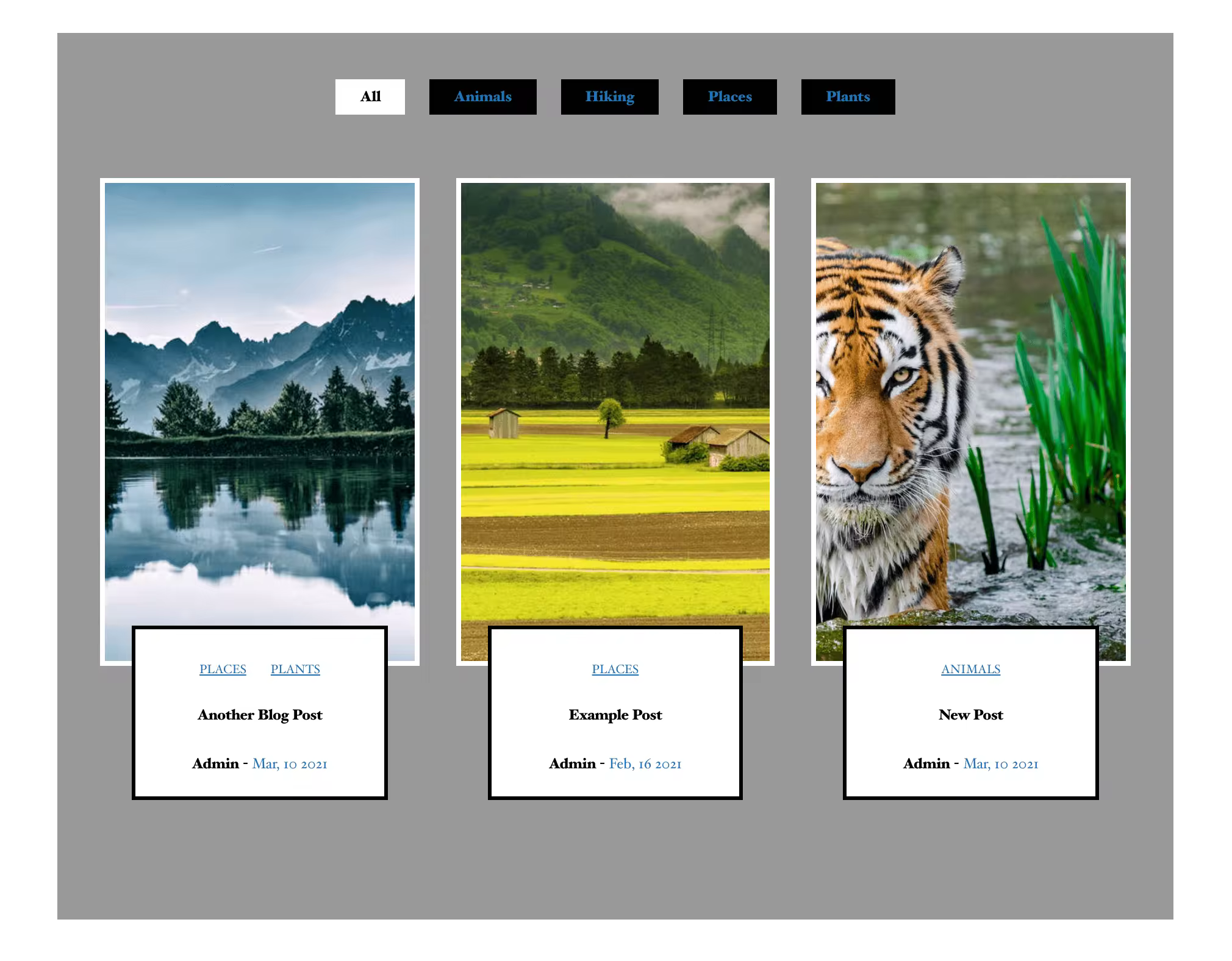 custom-post-category-filter.pngo_