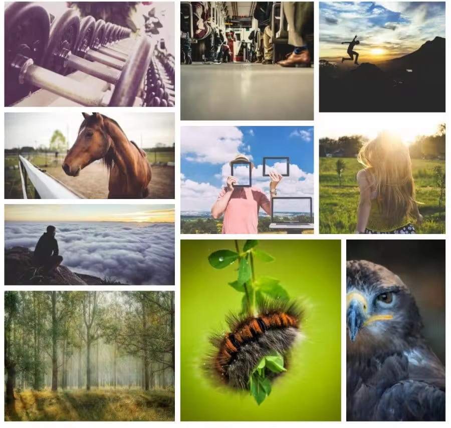 gallery-1-e1584714189727-1.jpgo_