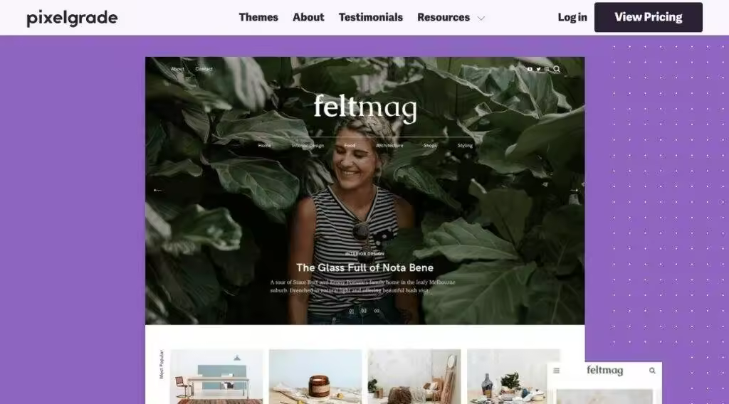 pixelgrade-wordpress-block-theme-1024x568-1.jpgo_