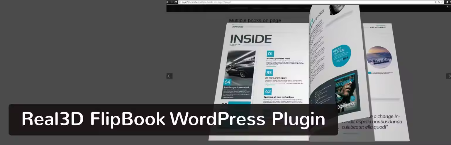 real3d-flipbook-wordpress-plugin.jpgo_