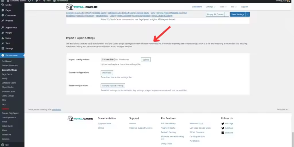 A-screenshot-of-W3TCs-importexport-options.jpgo_