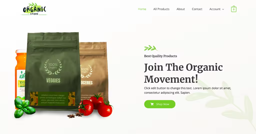 Astra-Theme-WooCommerce-1024x538.pngo_-1