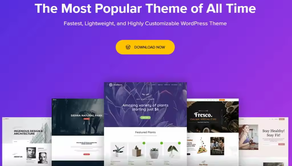 Astra-WordPress-theme-home-page-1024x582.webp.jpgo_