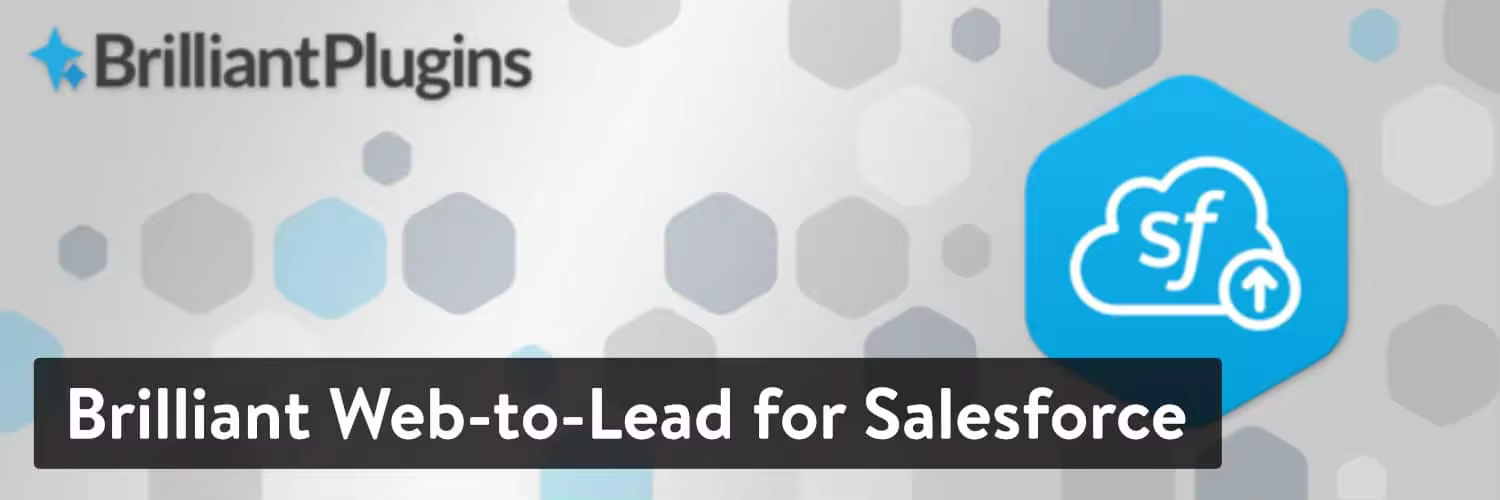 Brilliant-Web-to-Lead-for-Salesforce-plugin-1.jpgo_