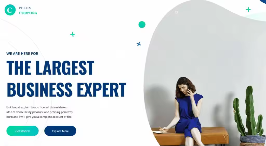 Phlox-WordPress-theme-home-page-1024x564.webp.jpgo_