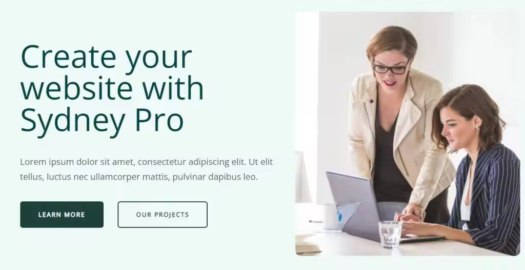 Sydney-WordPress-theme-home-page-1024x526.webp.jpgo_
