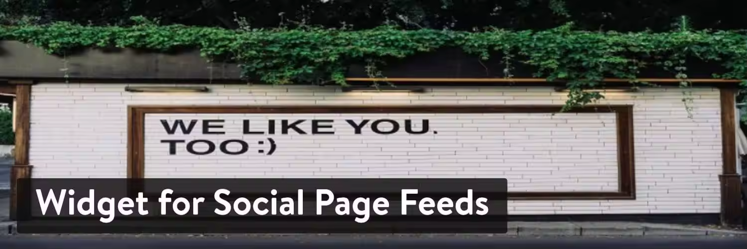 Widget-for-Social-Page-Feeds.jpgo_