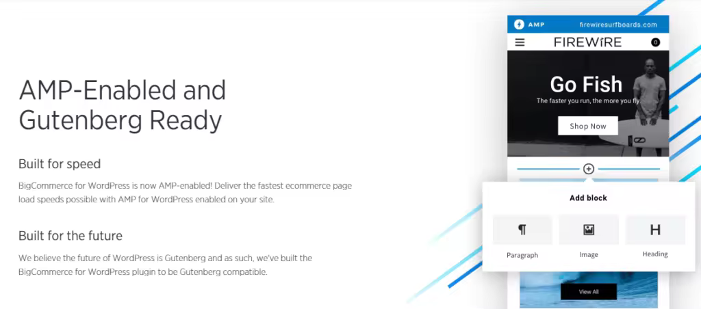 amp-gutenberg-support-1024x452.pngo_