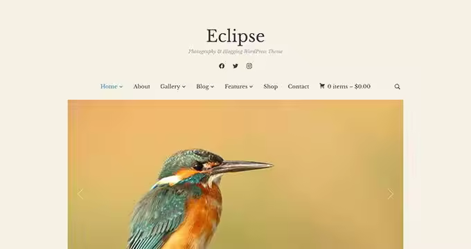 eclipse-1.jpgo_
