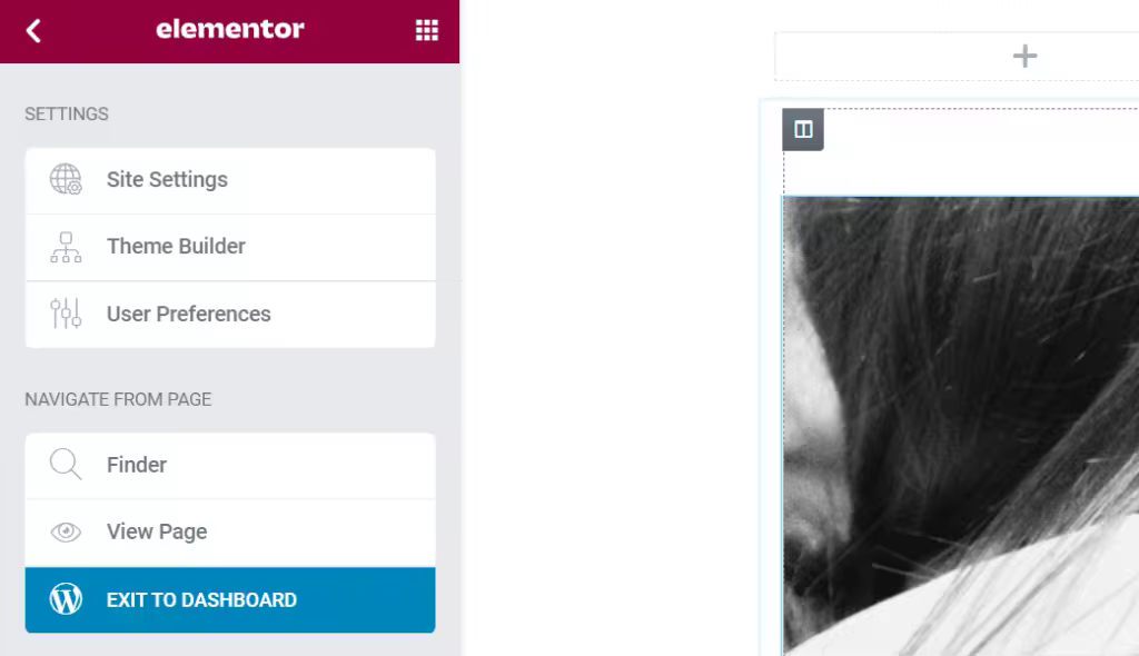 elementor-site-settings-1.pngo_
